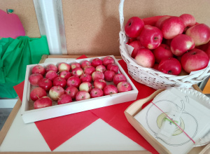 Zdjęcie stolika na którym stoi taca i kosz z jabłkami.
