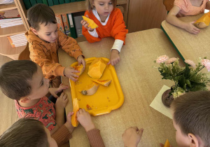 Dzieci z grupy II poznają sensorycznie dynie. Oglądają, dotykają i wąchają.