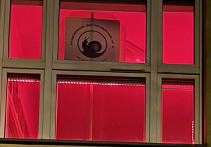 Zdjęcie oświetlonego na czerwono okna przedszkola.